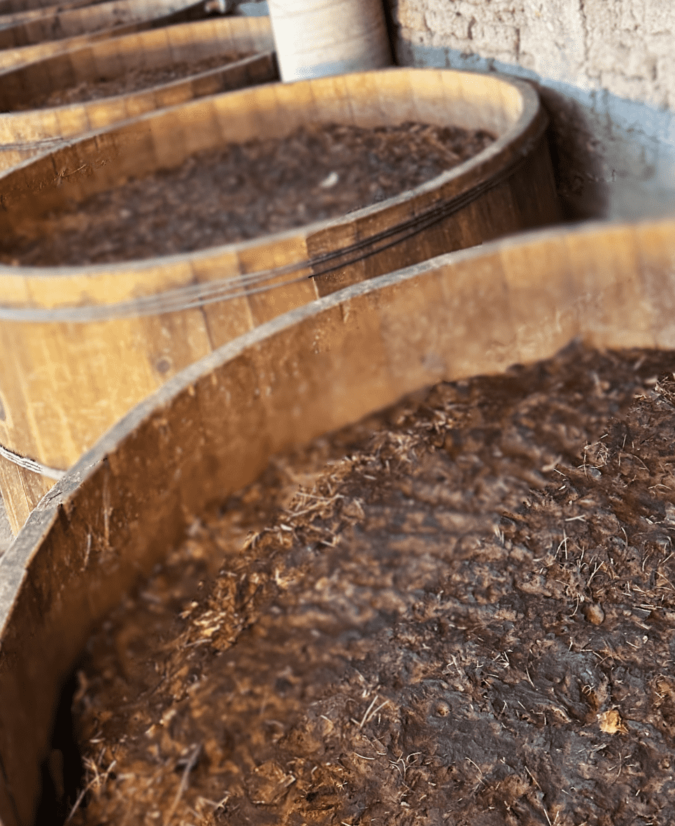 Fermentación de jugos de agave para mezcal